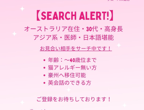 お嫁さん候補サーチ中です